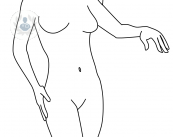 belleza-intima