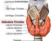 cirugia-tirodides