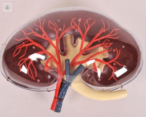 cirugia-con-impresora-3d