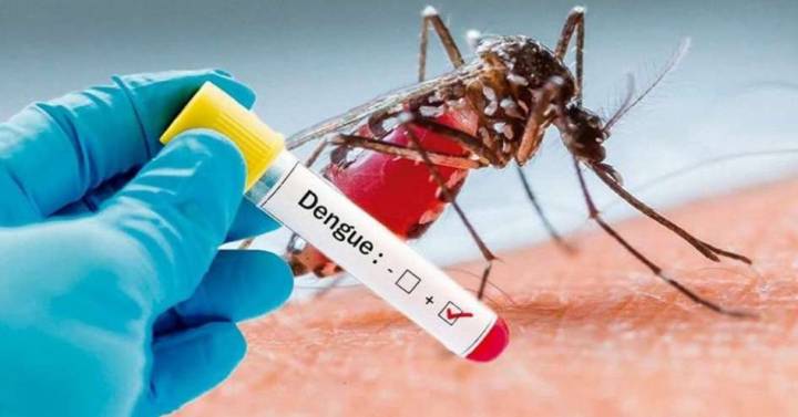 dengue-fumigar-ayuda-a-evitar-la-propagacion-del-virus imágen de artículo