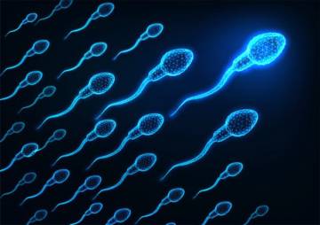 la-varicocele-como-un-paso-a-la-infertilidad imágen de artículo