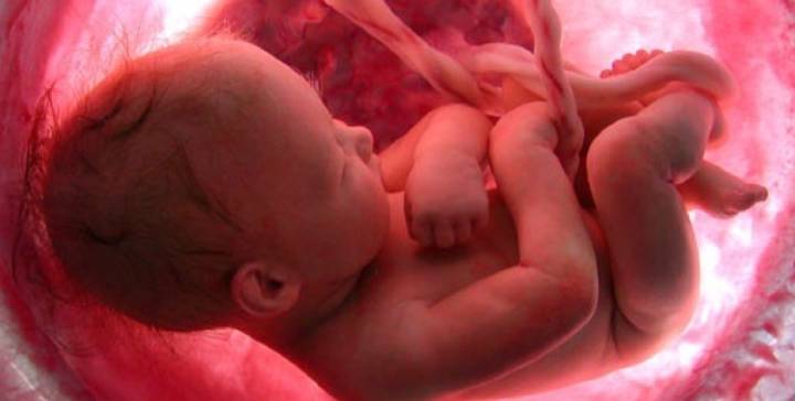 asfixia-perinatal-algo-que-deben-saber-las-embarazadas imágen de artículo
