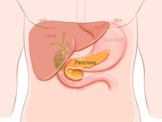 ¿Por qué se da la Insuficiencia Pancreática Exocrina?