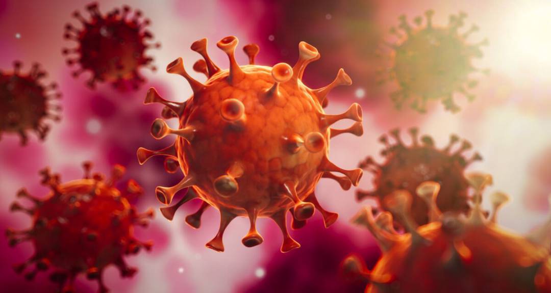 nueva-ola-de-coronavirus-en-verano imágen de artículo