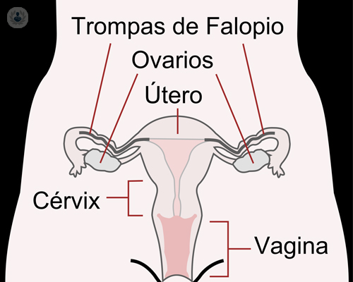 menopausia-climaterio