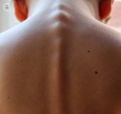 columna-vertebral-hombre