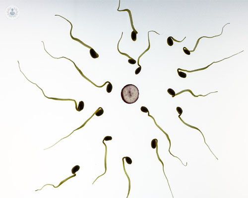 preservar-fertilidad