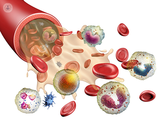 como-interpretar-un-hemograma