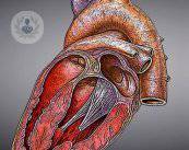 imagen-cardiaca