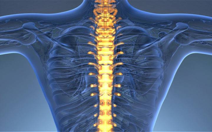 Rehabilitación de Patología de Columna Vertebral: qué es, síntomas y  tratamiento