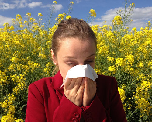 alergias comunes