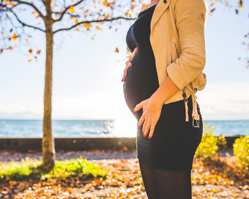 fertilidad femenina