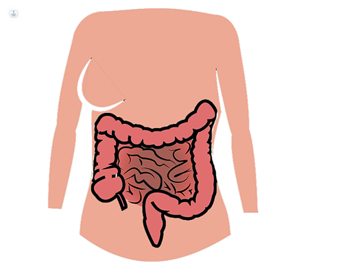 endoscopia digestiva
